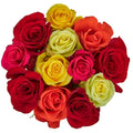 Dozen Rainbow Roses