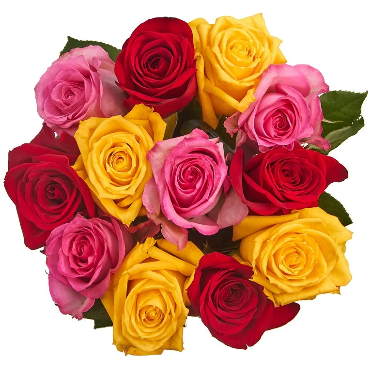 Dozen Rainbow Roses
