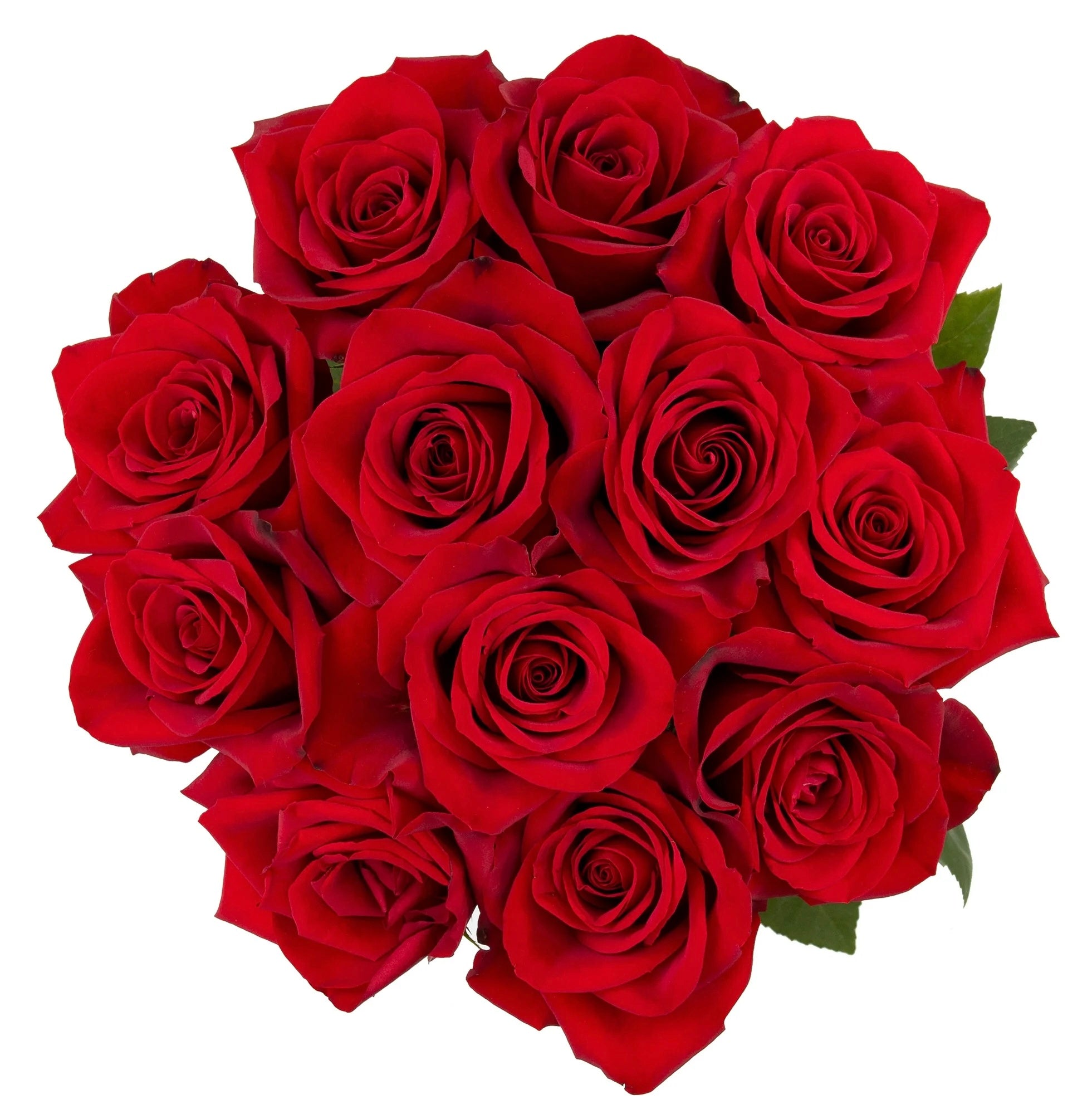 Dozen Red Roses
